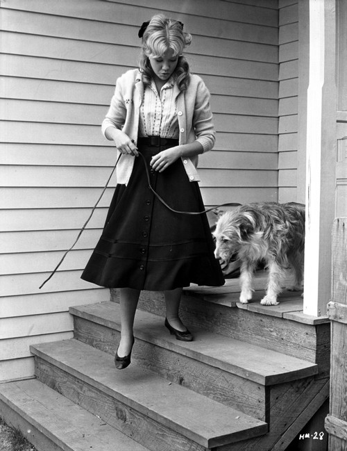Hayley Mills in a Dress with a Dog Photo Print - Item # VARCEL707066