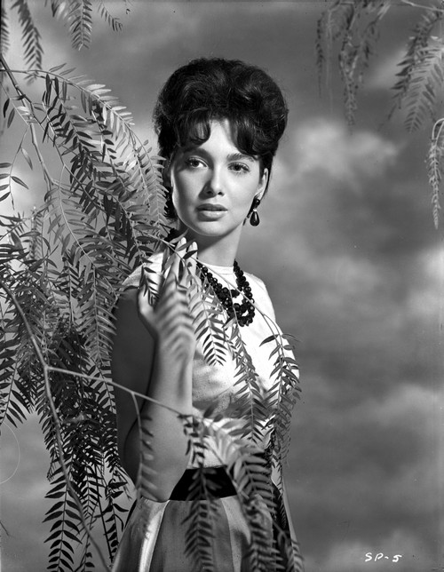 Suzanne Pleshette wearing a Dress and posed with Ferns Photo Print - Item # VARCEL707163
