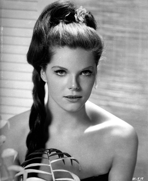 Samantha Egger Black and White Close Up Portrait Photo Print - Item # VARCEL707453