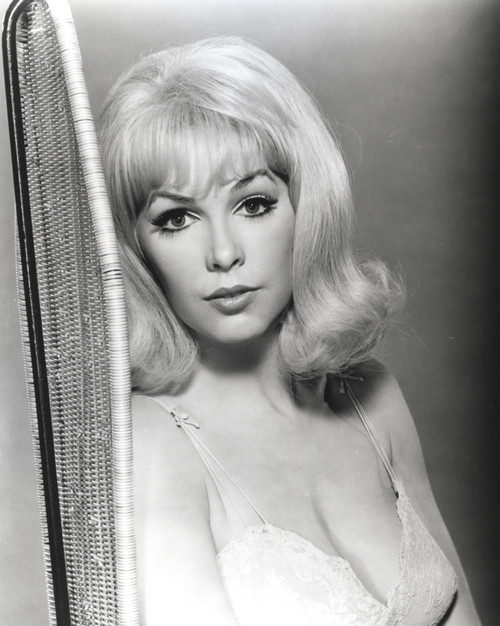 Stella Stevens Posed in Black and White Portrait wearing Lingerie Photo Print - Item # VARCEL707763