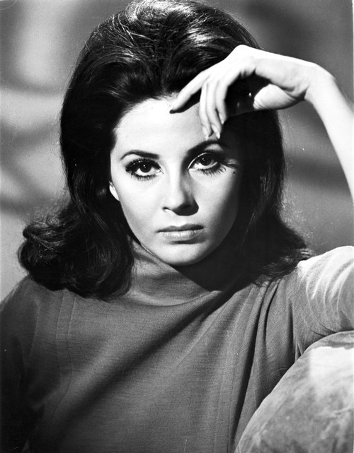 Barbara Parkins Close Up Portrait wearing A Sweater Photo Print - Item # VARCEL707851