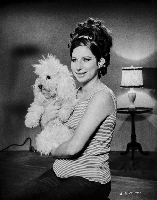 Barbra Streisand Posed With Dog Photo Print - Item # VARCEL708095