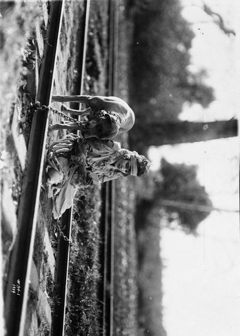 Gloria Swanson posed with Dog in Classic Portrait Photo Print - Item # VARCEL708222