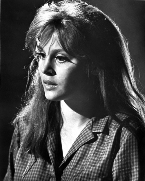 Portrait of Leigh Young in Classic Photo Print - Item # VARCEL708353