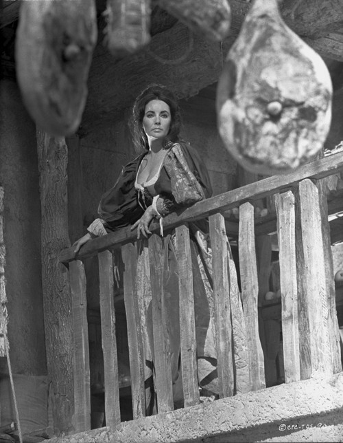Elizabeth Taylor Posed in Classic Portrait Photo Print - Item # VARCEL708374