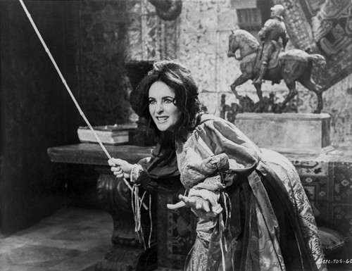 Elizabeth Taylor Posed in Classic Photo Print - Item # VARCEL708360