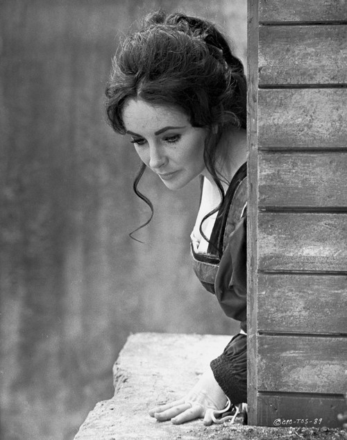 Elizabeth Taylor Looking Down in Classic Photo Print - Item # VARCEL708372