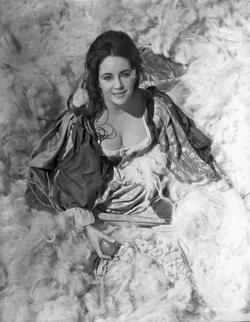 Elizabeth Taylor smiling in Ball Dress Photo Print - Item # VARCEL708381