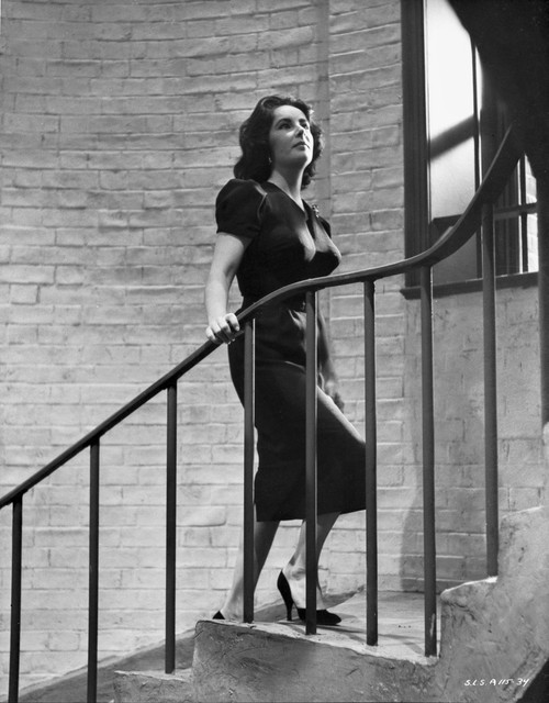 Elizabeth Taylor Climbing the Stairs Classic Portrait Photo Print - Item # VARCEL708383