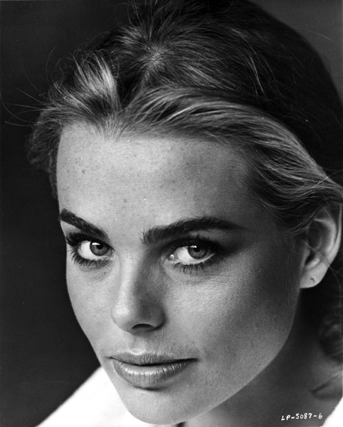 Margaux Hemingway Classic Close Up Portrait with Dark Eye Brows Photo Print - Item # VARCEL708408