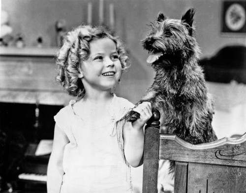 Shirley Temple Playing a Dog in White Dress Photo Print - Item # VARCEL708454