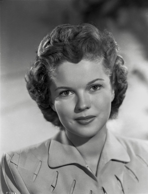Shirley Temple wearing a Shirtdress in a Close Up Portrait Photo Print - Item # VARCEL708464
