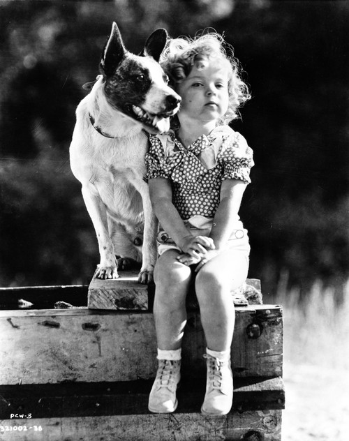 Shirley Temple sitting with a Dog in a Classic Portrait Photo Print - Item # VARCEL708520
