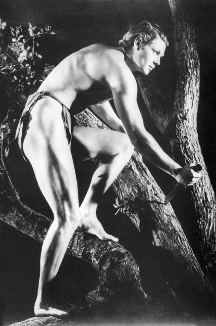 Johnny Weissmuller wearing a Loincloth and Hiding Behind a Tree in a Movie Scene Photo Print - Item # VARCEL709316