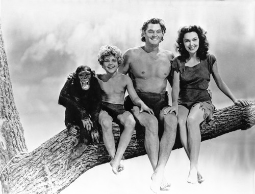 Johnny Weissmuller sitting on a Tree Branch with His Family in a Classic Movie Scene Photo Print - Item # VARCEL709300