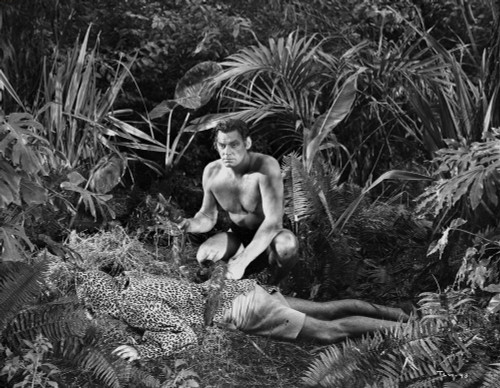 Johnny Weissmuller Killed a Man in a Classic Movie Scene Photo Print - Item # VARCEL709337