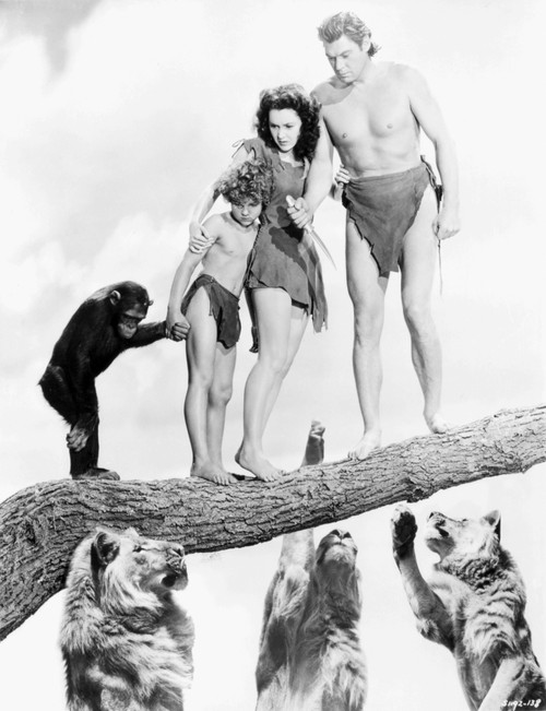 Johnny Weissmuller Escaping from Lions in a Movie Scene Photo Print - Item # VARCEL709321