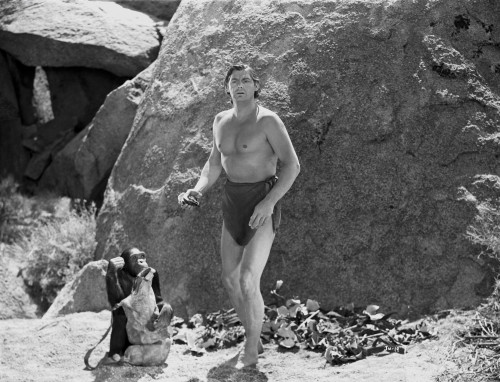 Johnny Weissmuller standing with a Monkey in a Classic Movie Scene Photo Print - Item # VARCEL709392