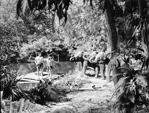 Johnny Weissmuller Hunting Elephants with His Friends in a Classic Movie Scene Photo Print - Item # VARCEL709394