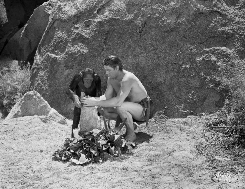 Johnny Weissmuller Filling the Sack with the Help of His Monkey in a Classic Movie Scene Photo Print - Item # VARCEL709370