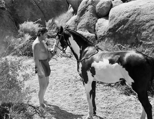 Johnny Weissmuller Feeding His Horse in a Classic Movie Scene Photo Print - Item # VARCEL709385