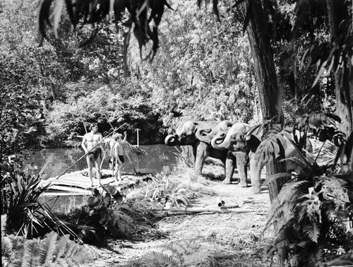 Johnny Weissmuller Hunting Elephants with His Friends in a Classic Movie Scene Photo Print - Item # VARCEL709394