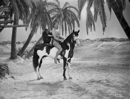 Johnny Weissmuller Riding a Black and White Horse in a Classic Movie Scene Photo Print - Item # VARCEL709426