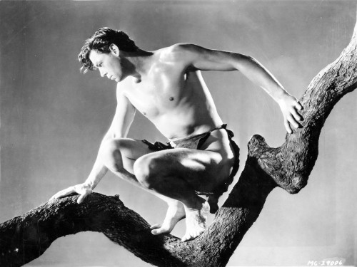 Johnny Weissmuller sitting on a Tree Branch in a Movie Scene Photo Print - Item # VARCEL709443