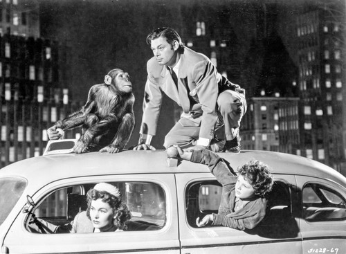 Johnny Weissmuller Riding on Top of a Car in a Classic Movie Scene Photo Print - Item # VARCEL709467