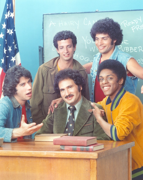 Welcome Back Kotter Cast Portrait Photo Print - Item # VARCEL709477