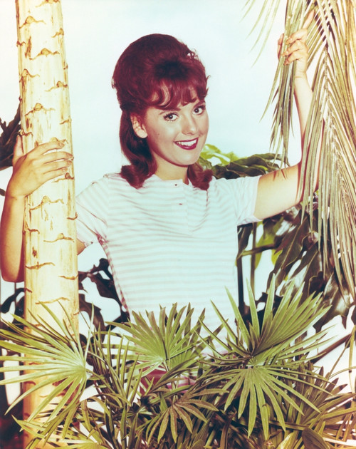 Dawn Wells Posed in White Blouse Photo Print - Item # VARCEL709611