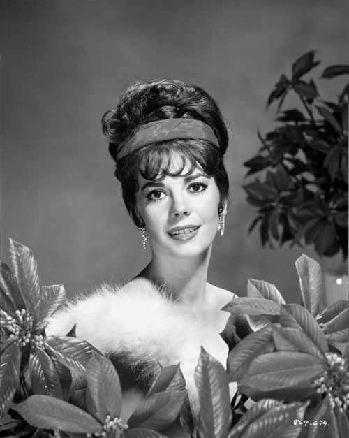 Natalie Wood smiling in Fur dress Photo Print - Item # VARCEL709948