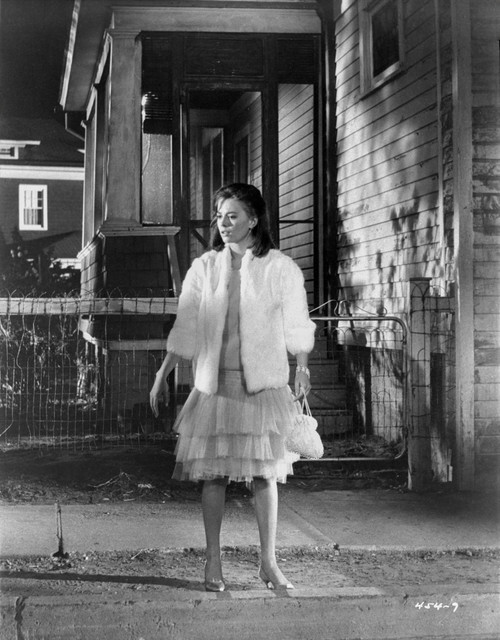 Natalie Wood standing Posed in Black and White Photo Print - Item # VARCEL710005