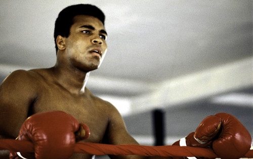 Muhammad Ali training in Florida Photo Print - Item # VARGLP347371