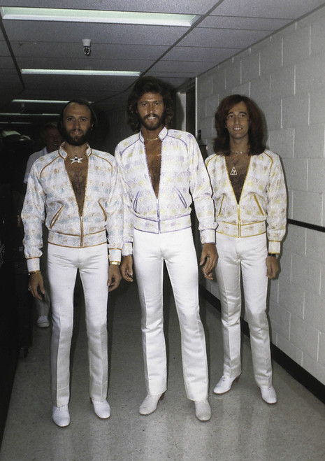 the Bee Gees wearing white costumes Photo Print (8 x 10)