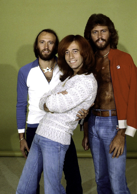 the Bee Gees Photo Print (8 x 10)