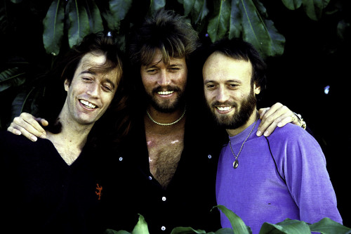 the Bee Gees Photo Print (10 x 8)