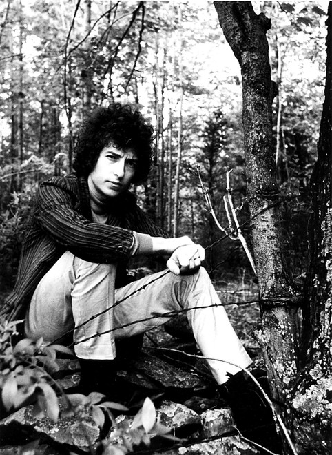 Bob Dylan in a forest Photo Print (8 x 10)