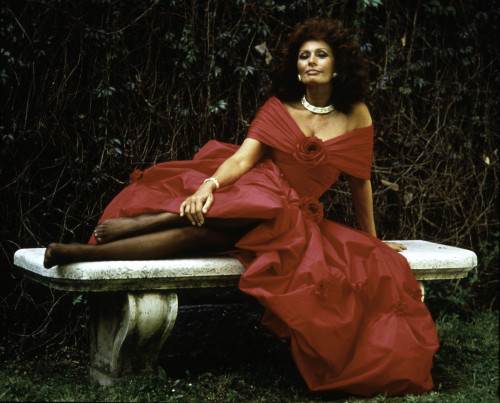 Sophia Loren Photo Print (10 x 8)