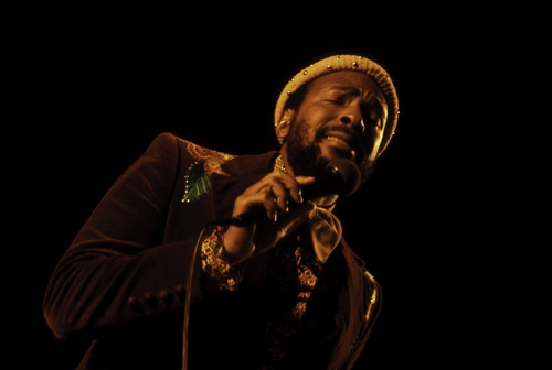 Marvin Gaye performing on stage Photo Print - Item # VARGLP370112