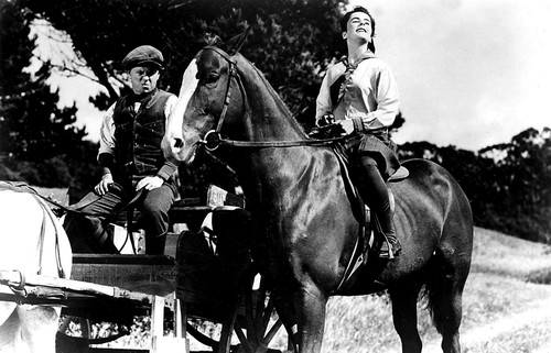 Film still of Mickey Rooney and Elizabeth Taylor riding a horse in National Velvet Photo Print - Item # VARGLP370900