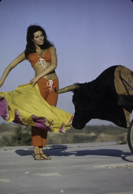 Raquel Welch bull fighting Photo Print - Item # VARGLP379386