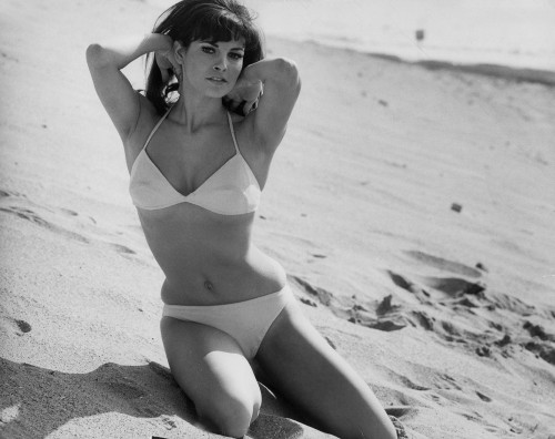 Raquel Welch posing in a bikini on a beach Photo Print (10 x 8)