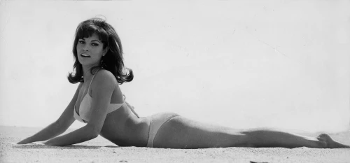 Raquel Welch lying on beach in a bikini Photo Print - Item # VARGLP380089