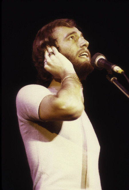 the Bee Gees singing Photo Print (8 x 10)