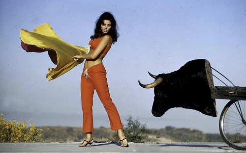 Raquel Welch bull fighting Photo Print - Item # VARGLP387133