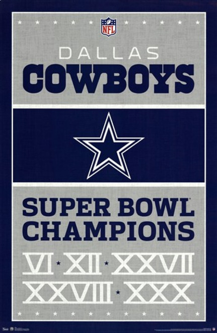 Dallas Cowboys - Champions 2013 Poster Print