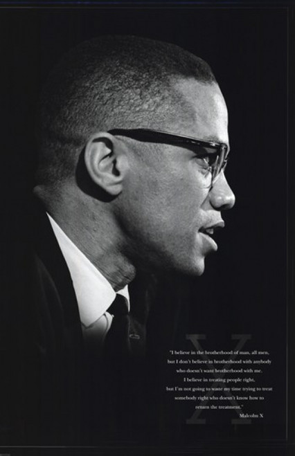 Malcolm X Poster Print