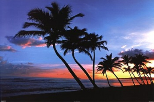 Sunrise St. Croix Poster Print by Nathan Lovas