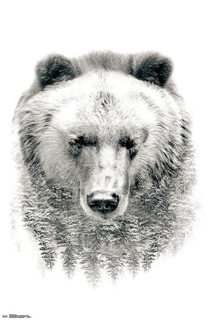 Bear - Trees Poster - 22 x 34 inches